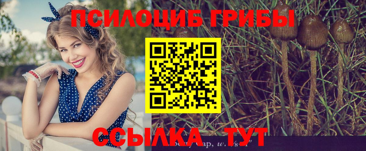 Галлюциногенные грибы мицелий  продажа наркотиков  Елизово  Вход с VPN 